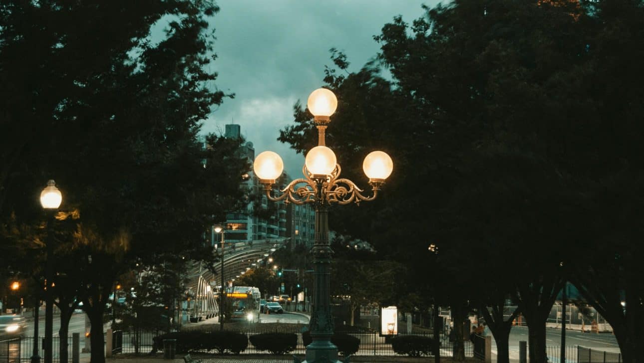 Park Lights Kenmore Trees Night.